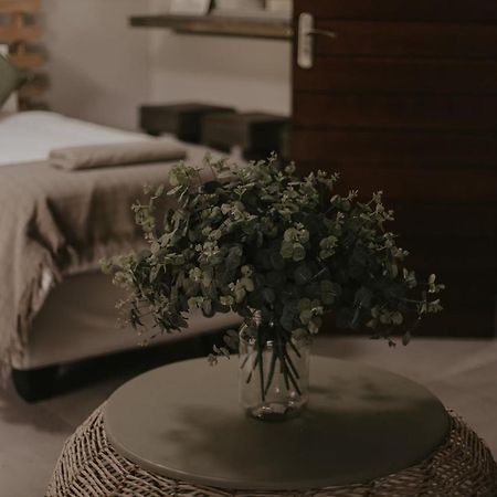 Villa Rose Guesthouse & Venue Блоемфонтейн Екстериор снимка