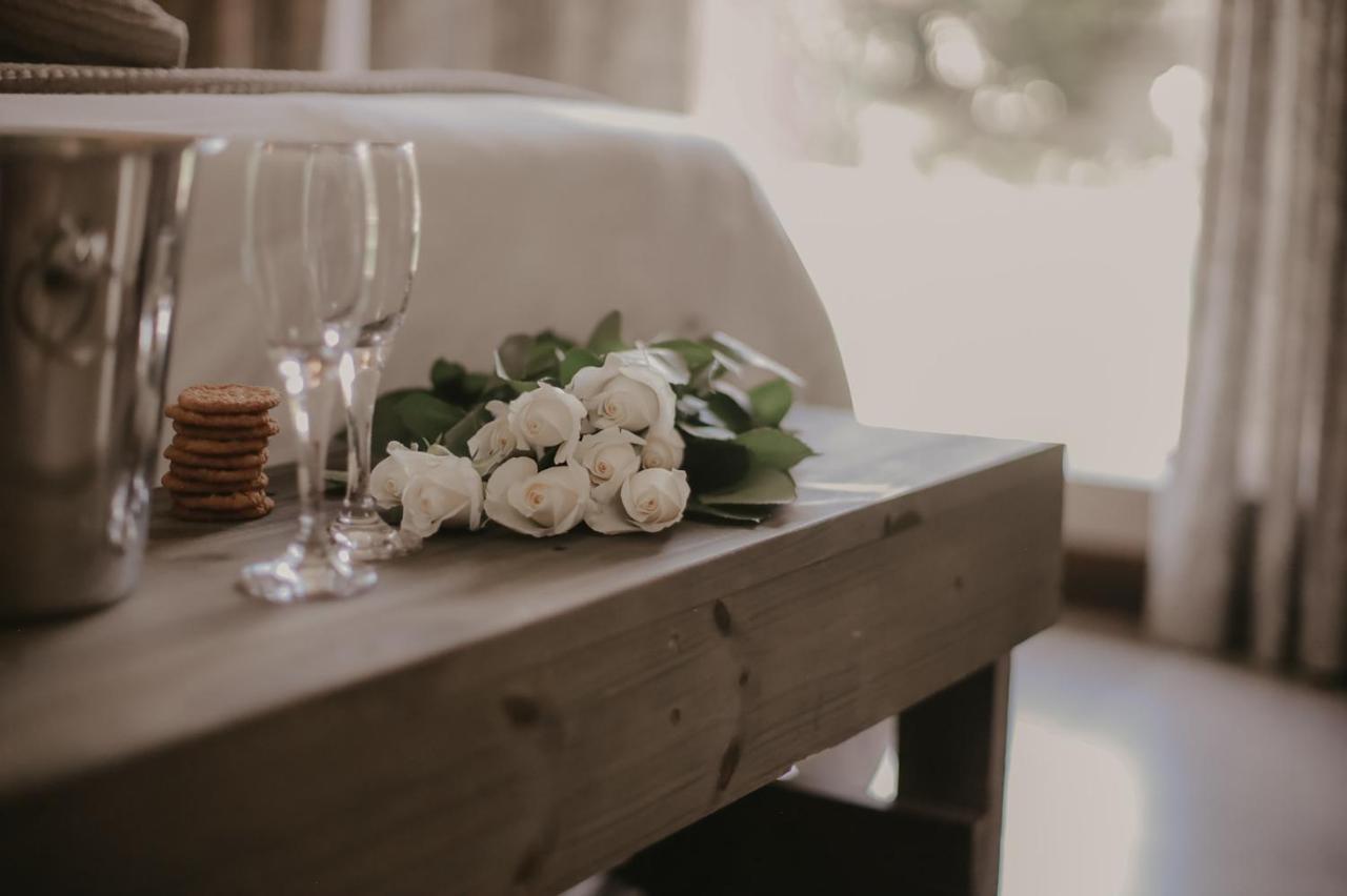 Villa Rose Guesthouse & Venue Блоемфонтейн Екстериор снимка